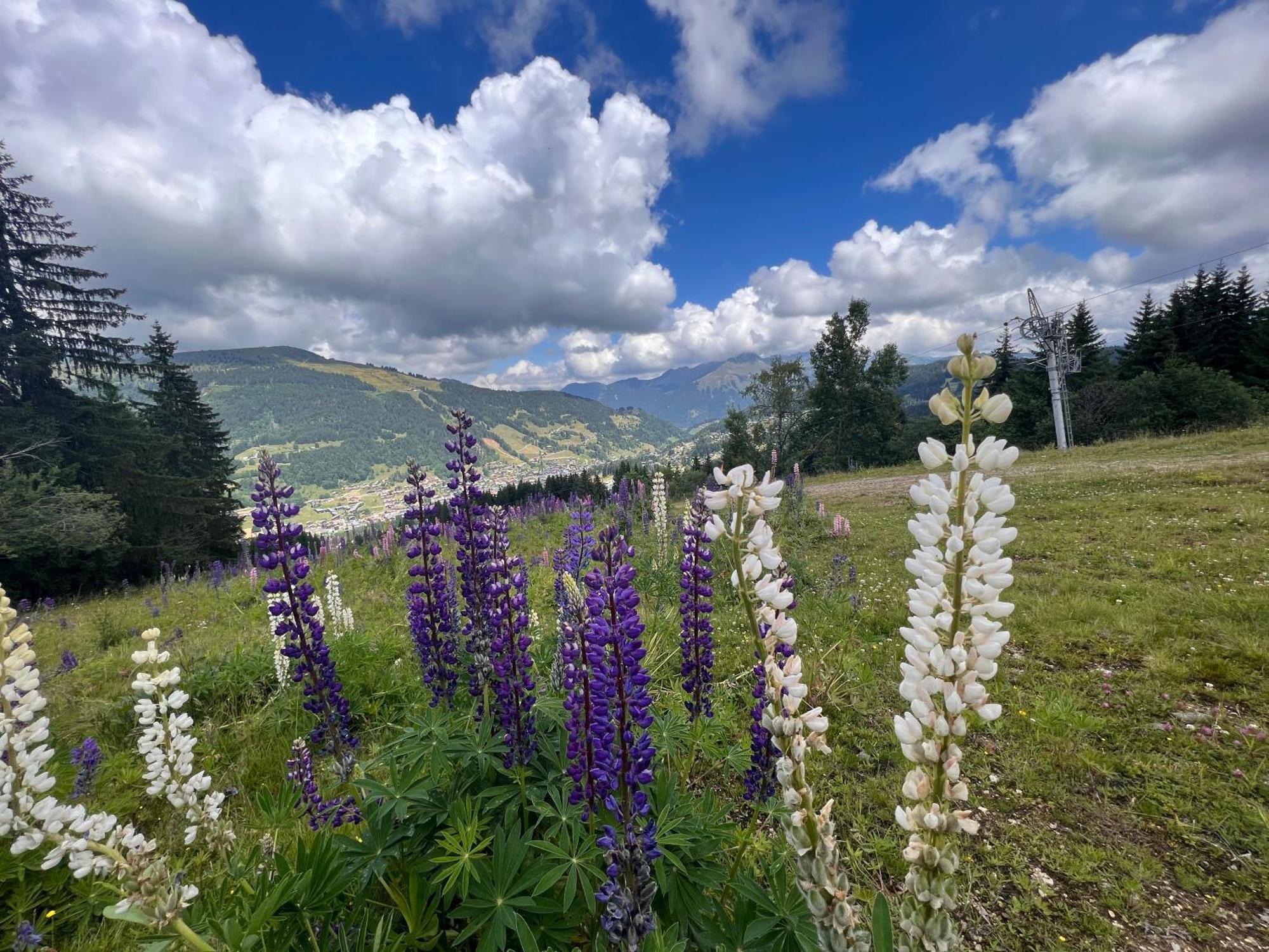 Chalet Aventure B&B Ле-Гет Экстерьер фото